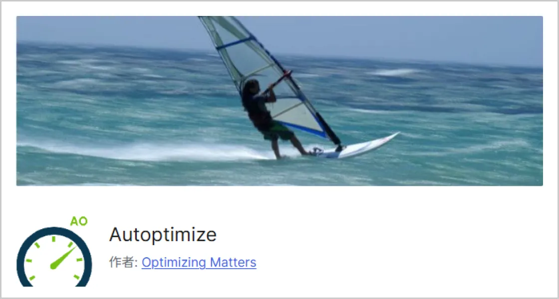 「Autoptimize」の画像