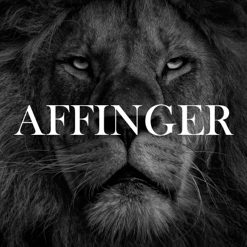 ワードプレステーマ「AFFINGER」